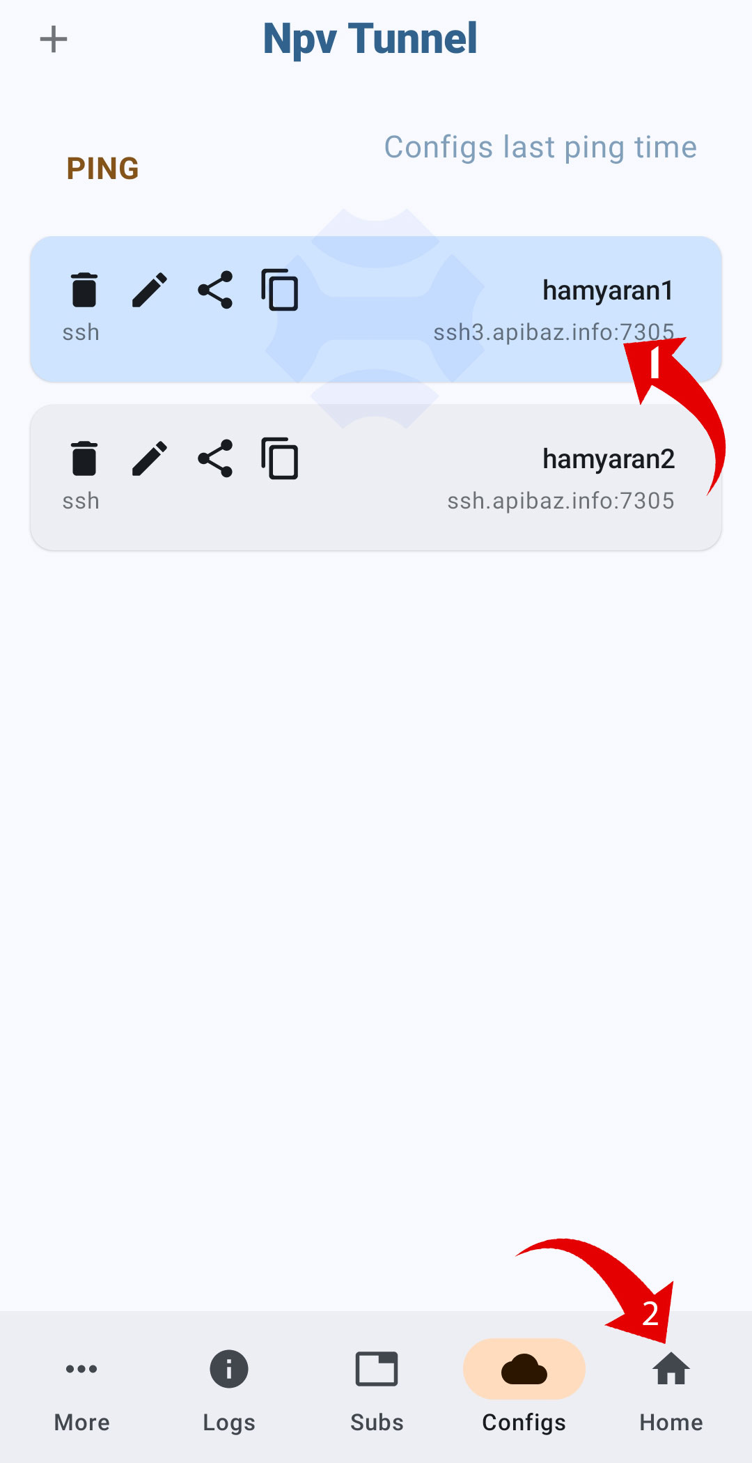 لیست کانکشن های npv tunnel